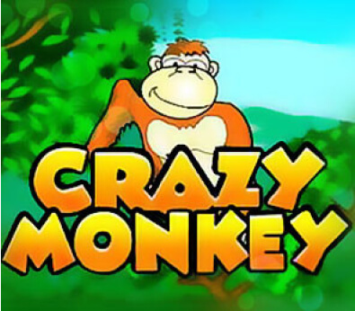 crazy-monkey